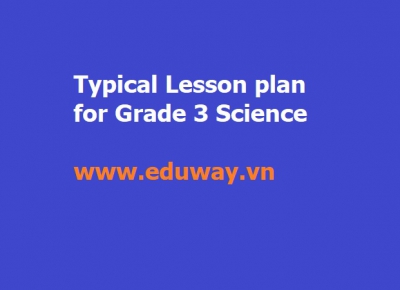 A typical lesson plan for Grade 3 Science 