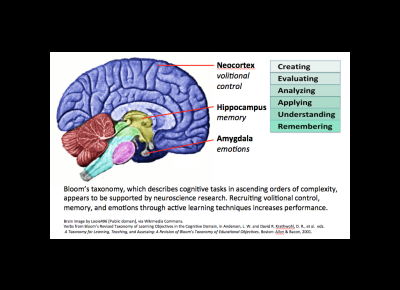 Neuroscience and How Students Learn